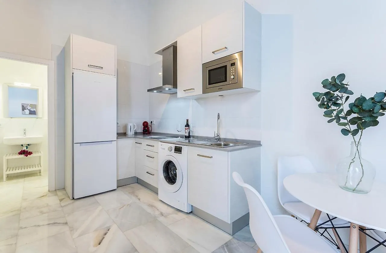 Centrico Sofisticado Diseno Apartment