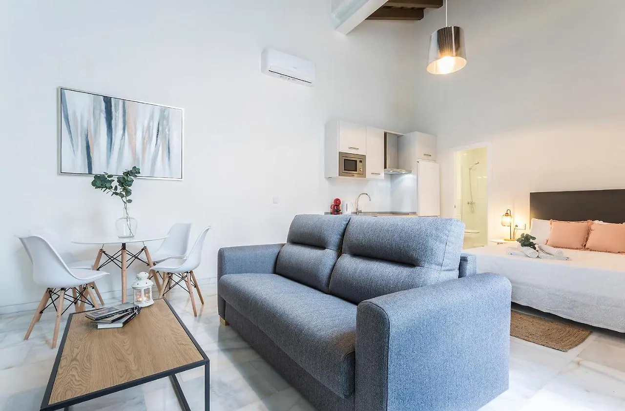 Apartment Centrico Sofisticado Diseno Spain